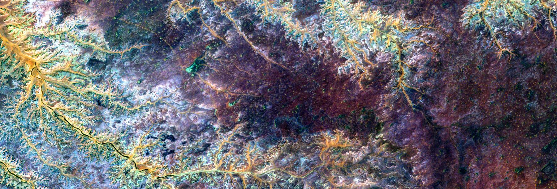 False-color aerial image of dendritic drainage channels in deep purple.