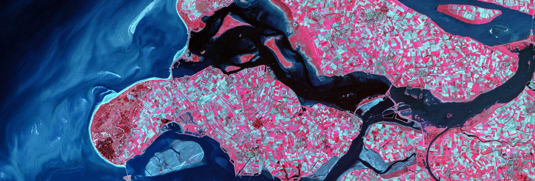 False-color aerial image of a braided delta meeting deep blue water.