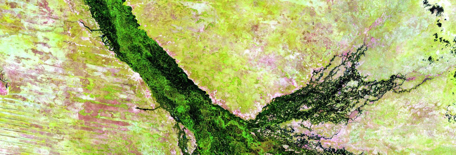 False-color aerial image of a green delta fanning across pale terrain.